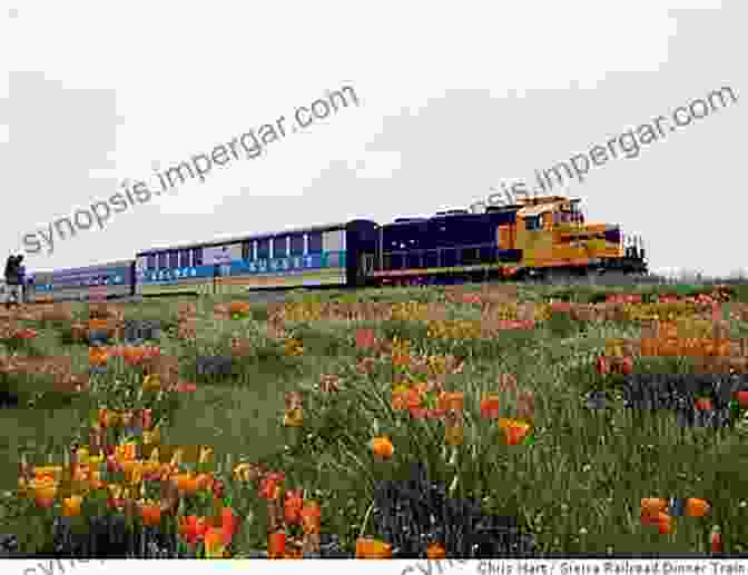 A Color Photograph Of A Train Passing Through A Field Of Wildflowers. Big Bend Railroads (Images Of Rail)