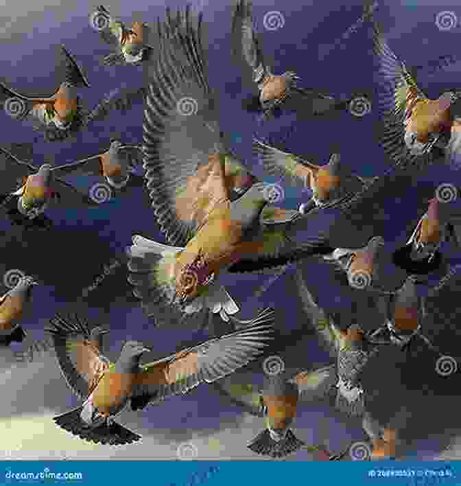 A Flock Of Passenger Pigeons In Flight The Passenger Pigeon By Various Edited By W B Mershon