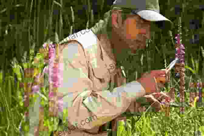 A Person Examining Plants In A Garden Australian Rainforest Seeds: A Guide To Collecting Processing And Propagation