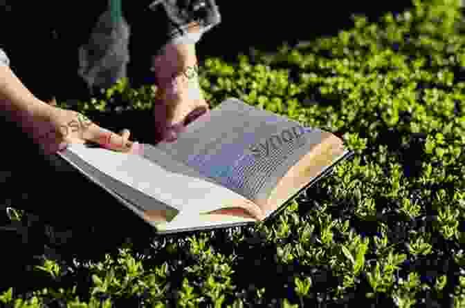 A Person Reading Books About Plants Australian Rainforest Seeds: A Guide To Collecting Processing And Propagation