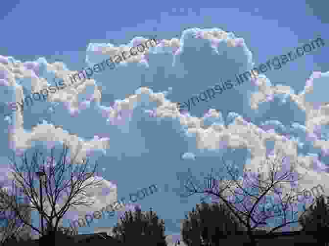 A Sweeping Panorama Of A Sky Filled With Towering Cumulus Clouds, Casting Long Shadows Across The Landscape. Cloud And Skyscapes: Images Of Clouds And The Sky