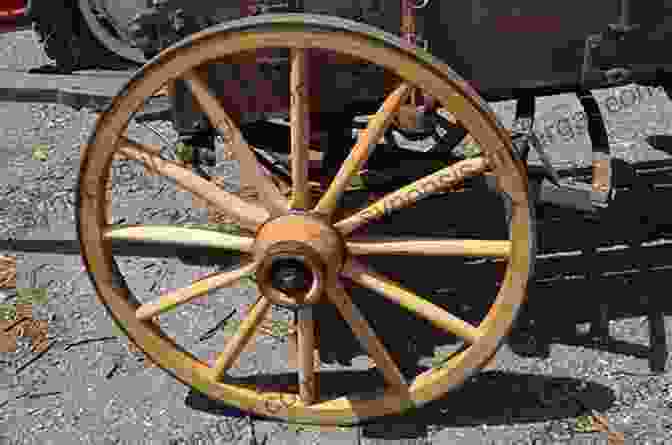 A Wooden Wheel With Spokes The Story Of Trees: And How They Changed The Way We Live