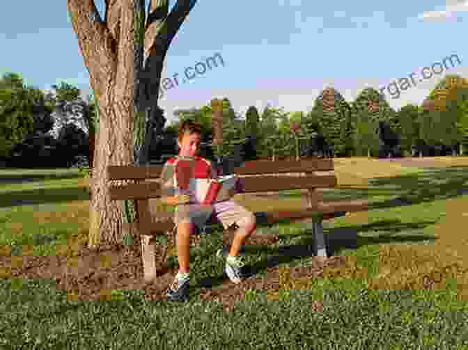 A Young Boy Sitting On A Bench Reading A Book The Stardust Lounge: Stories From A Boy S Adolescence