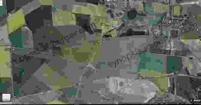 An Aerial View Of A Cursus Alignment. The Cursus Enigma: Prehistoric Cattle And Cursus Alignments (Studies In The British Mesolithic And Neolithic 3)