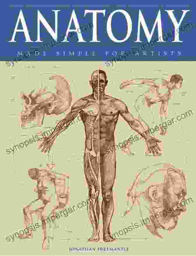 Anatomy Made Easy Book Cover Anatomy Made Easy (concise Lecture Notes For Medical Nursing Students) : LIVER