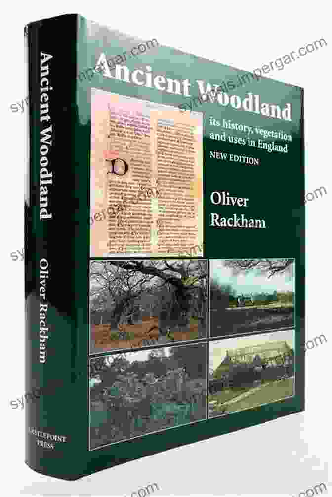 Ancient Woodland Book Cover A Tale Of Trees: How Britain Nearly Lost Its Ancient Woodland