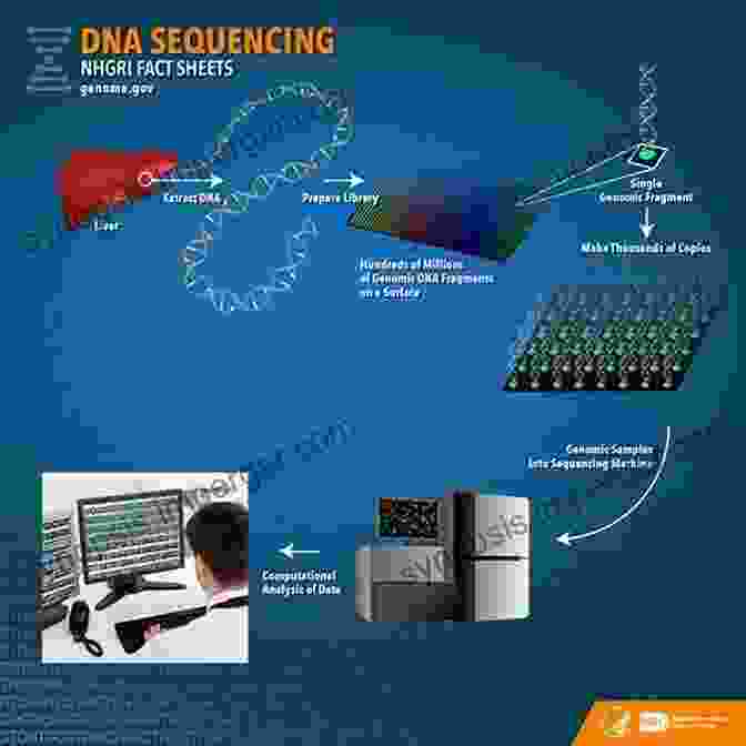 Bioinformatics Analysis Of DNA Sequences, Revealing Patterns And Relationships. Bioinformatics And Human Genomics Research