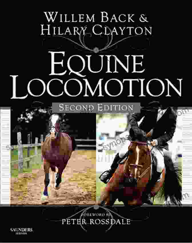 Cover Of The Book Equine Locomotion By Willem Back Equine Locomotion Willem Back