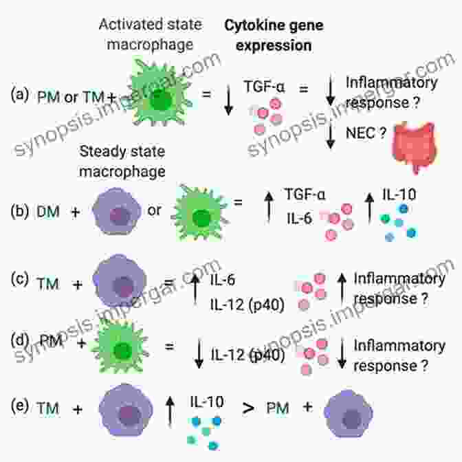 Cytokines In Human Milk Human Milk Biochemistry And Infant Formula Manufacturing Technology