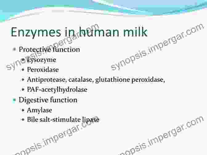 Enzymes In Human Milk Human Milk Biochemistry And Infant Formula Manufacturing Technology