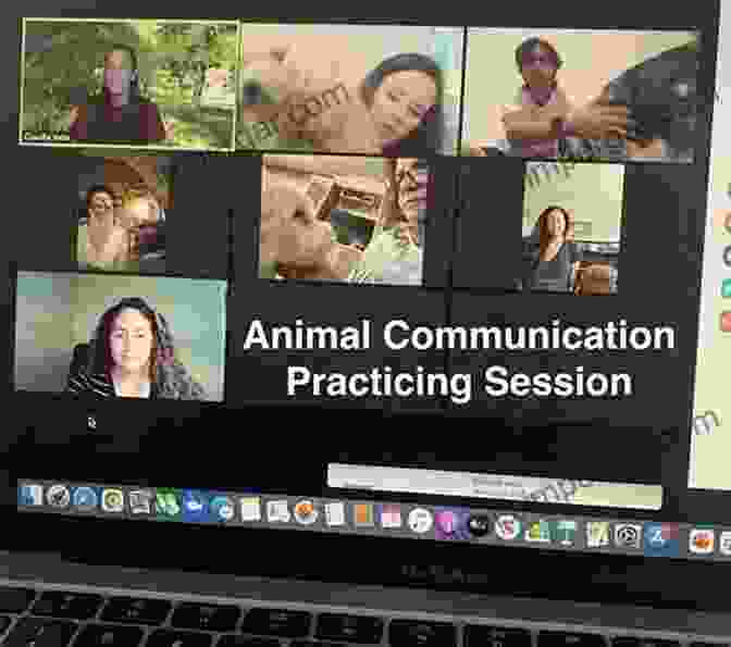 Group Of People Practicing Animal Communication Animal Communication Made Easy: Strengthen Your Bond And Deepen Your Connection With Animals (Made Easy Series)