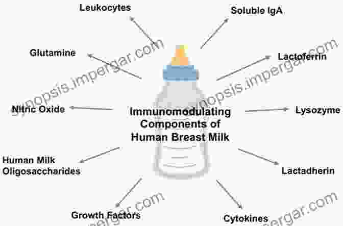 Growth Factors In Human Milk Human Milk Biochemistry And Infant Formula Manufacturing Technology