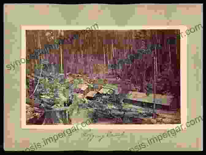 Humboldt County Logging Camp Mills Of Humboldt County (Images Of America)