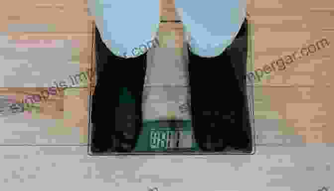 Image Depicting An Obese Person On A Weighing Scale The Weight Of Obesity: Hunger And Global Health In Postwar Guatemala (California Studies In Food And Culture 57)