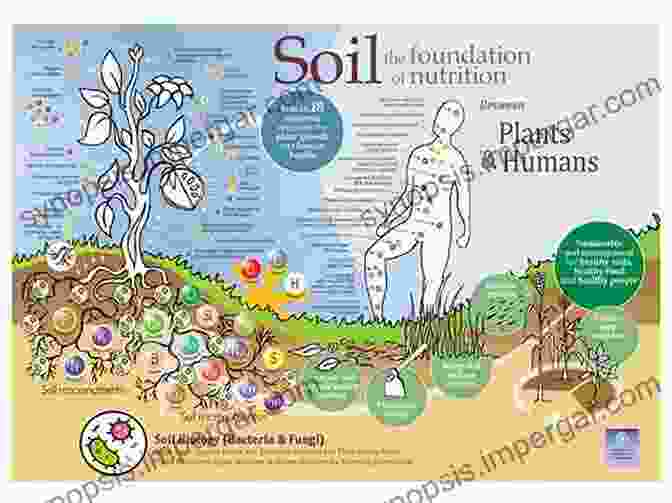 Image Of A Healthy, Fertile Soil Rich In Organic Matter And Teeming With Life. Managing Soil Health For Sustainable Agriculture Volume 1: Fundamentals (Burleigh Dodds In Agricultural Science 48)