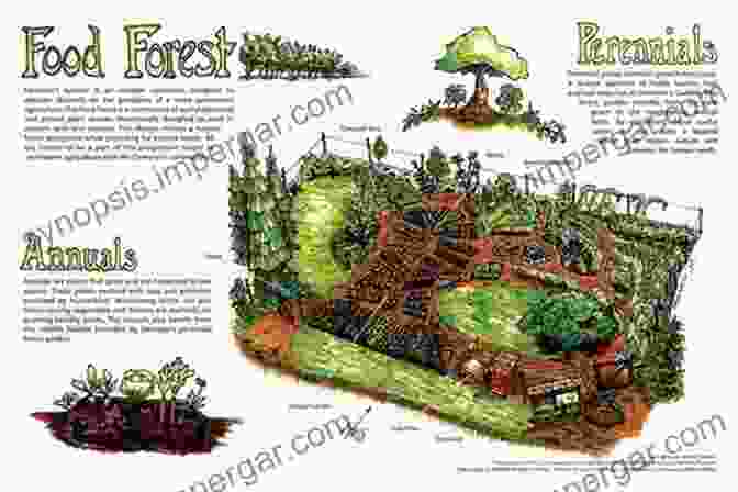 Image Of A Permaculture Designed Food Forest Create Your Own Florida Food Forest