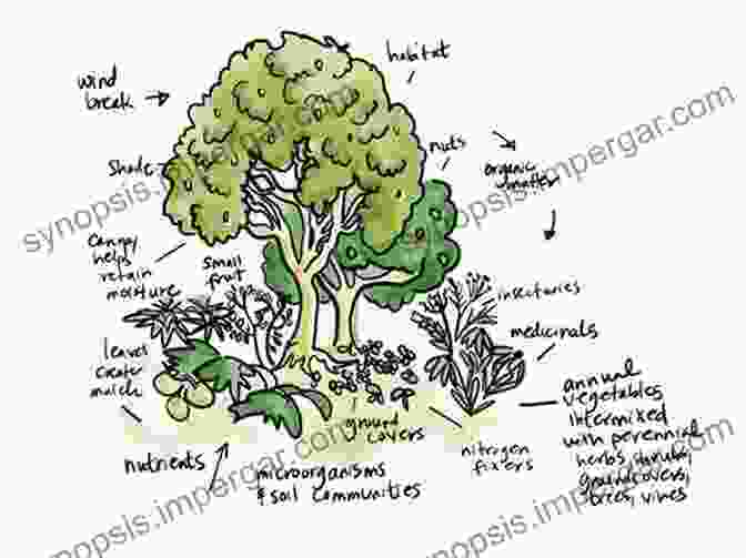 Image Of Companion Planting In A Food Forest Create Your Own Florida Food Forest