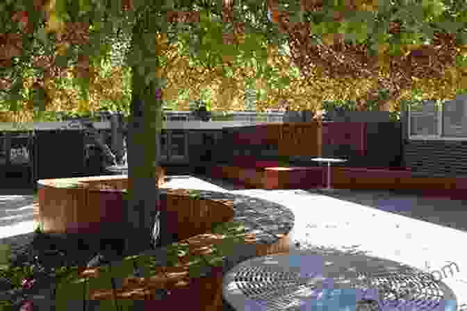 School Courtyard With Trees, Benches, And Outdoor Seating Designs For Living And Learning Second Edition: Transforming Early Childhood Environments