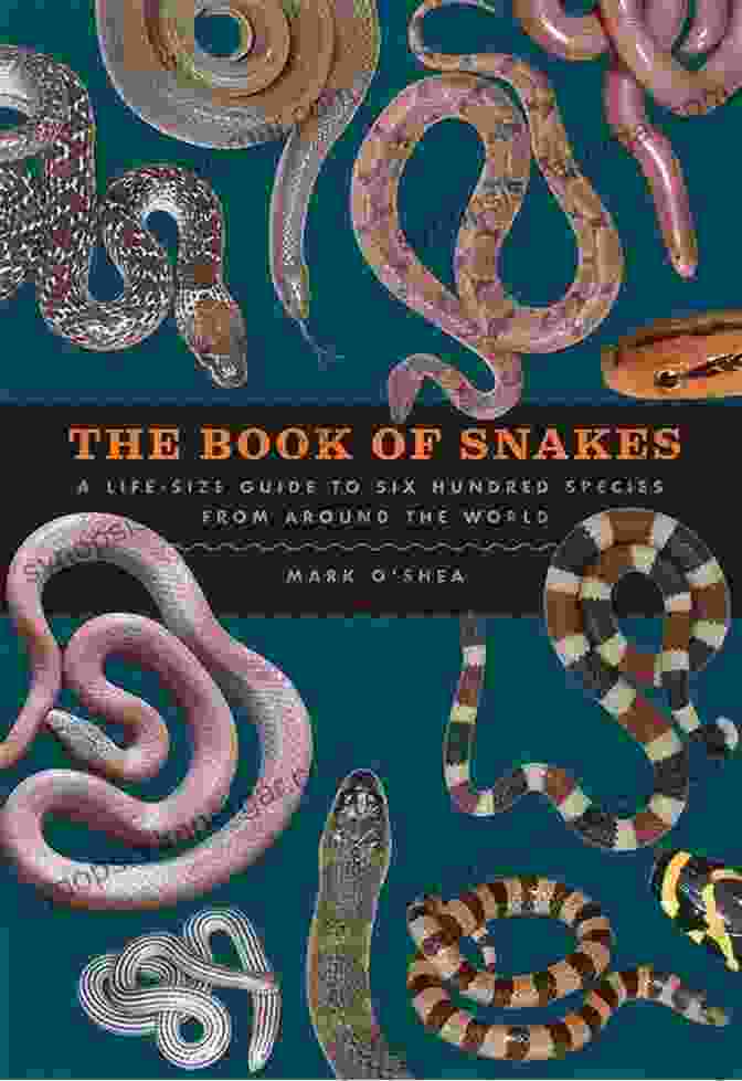 Snakes Of The World Book Cover Snakes Of The World: From Pythons To Black Mamba (Awesome Kids Educational Books)