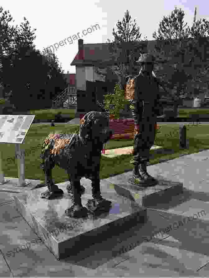 Statue Of Gander In St. John's, Newfoundland Muggins: The Life And Afterlife Of A Canadian Canine War Hero