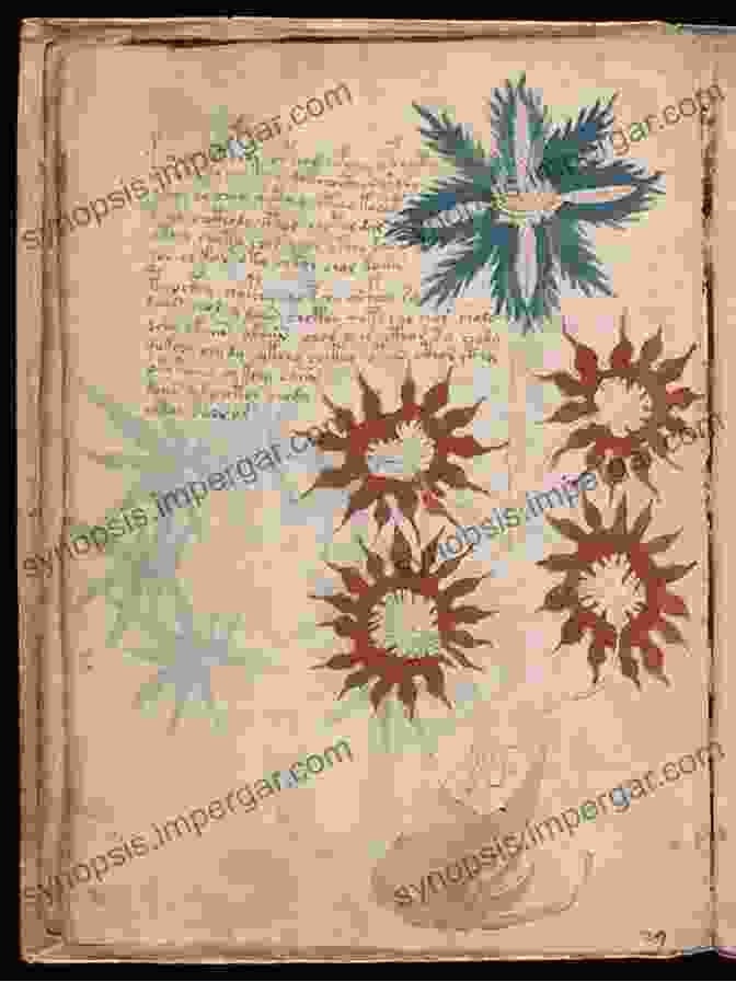 The Mysterious Pages Of The Voynich Manuscript, Filled With Enigmatic Symbols And Undeciphered Text. The Land That Never Was: Sir Gregor Macgregor And The Most Audacious Fraud In History