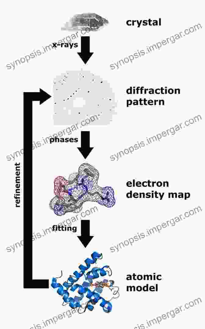 Three Dimensional Structure Of A Protein Determined By X Ray Crystallography Biological Inorganic Chemistry: A New To Molecular Structure And Function