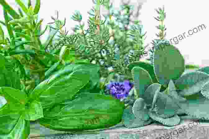 Vibrant Leafy Greens And Aromatic Herbs In A Flourishing Garden Roadmap To Growing Leafy Greens And Herbs