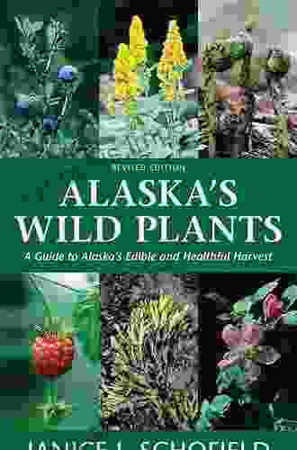 Alaska s Wild Plants Revised Edition: A Guide to Alaska s Edible and Healthful Harvest