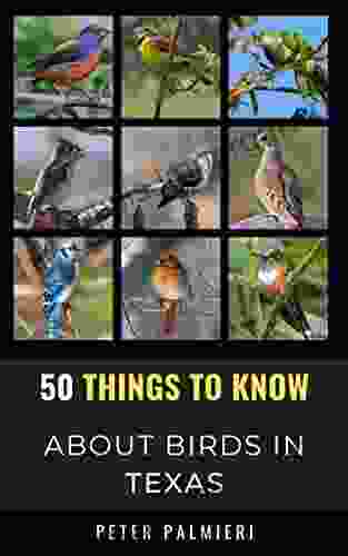 50 Things To Know About Birds In Texas : Birding In The Lone Star State (50 Things To Know About Birds United States)