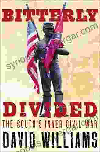 Bitterly Divided: The South S Inner Civil War