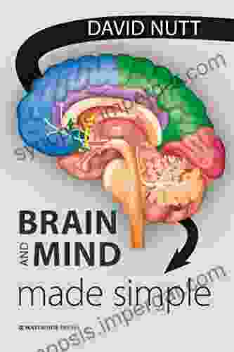 Brain And Mind Made Simple