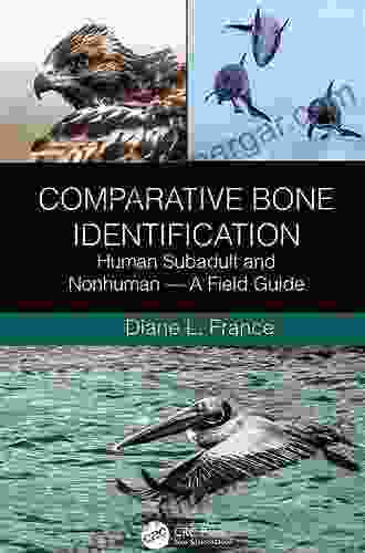 Comparative Bone Identification: Human Subadult To Nonhuman