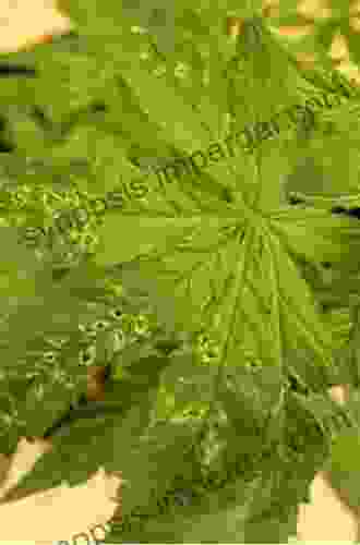 Diagnosing Hemp And Cannabis Crop Diseases