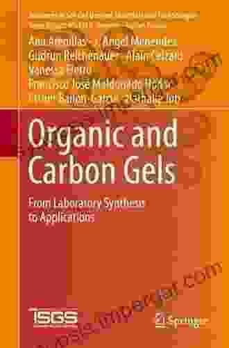 Organic And Carbon Gels: From Laboratory Synthesis To Applications (Advances In Sol Gel Derived Materials And Technologies)