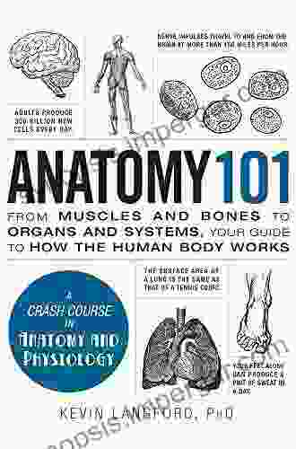 Anatomy 101: From Muscles and Bones to Organs and Systems Your Guide to How the Human Body Works (Adams 101)