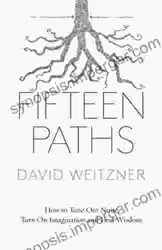 Fifteen Paths: How To Tune Out Noise Turn On Imagination And Find Wisdom