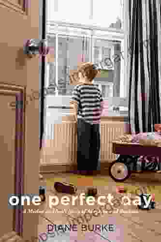 One Perfect Day: A Mother And Son S Story Of Adoption And Reunion