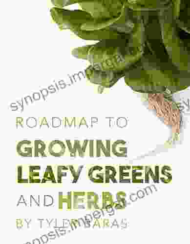 Roadmap To Growing Leafy Greens And Herbs