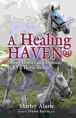 A Healing Haven: Saving Horses And Humans At RVR Horse Rescue (Lemons To Lemonade 2)