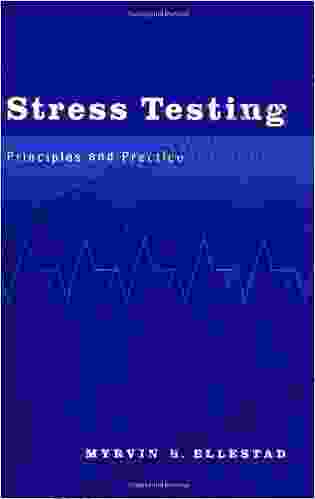 Stress Testing: Principles And Practice