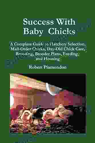 Success With Baby Chicks: A Complete Guide To Hatchery Selection Mail Order Chicks Day Old Chick Care Brooding Brooder Plans Feeding And Housing