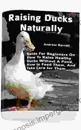 Raising Ducks Naturally: Guide For Beginners On How To Raise Healthy Ducks Without A Pond How to Feed Them And Take Care for Them