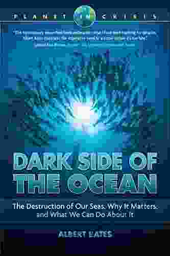 Dark Side Of The Ocean: The Destruction Of Our Seas Why It Maters And What We Can Do About It