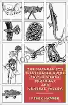 The Naturalist S Illustrated Guide To The Sierra Foothills And Central Valley