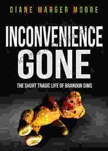 Inconvenience Gone: The Short Tragic Life Of Brandon Sims