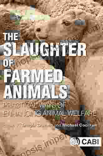 The Slaughter Of Farmed Animals: Practical Ways Of Enhancing Animal Welfare