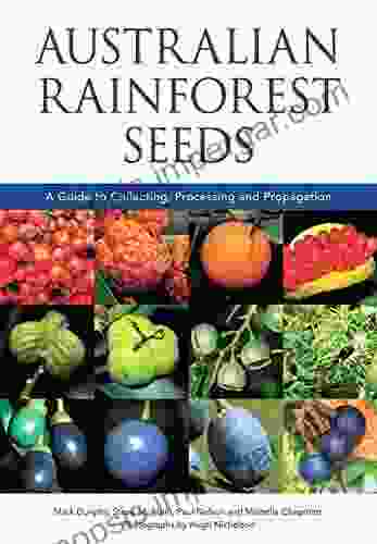 Australian Rainforest Seeds: A Guide to Collecting Processing and Propagation