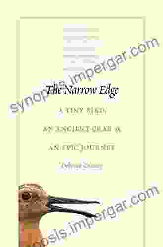 The Narrow Edge: A Tiny Bird An Ancient Crab And An Epic Journey