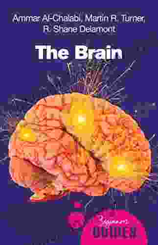 The Brain: A Beginner S Guide (Beginner S Guides)