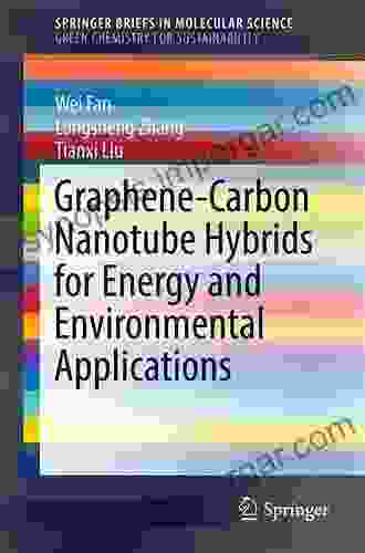 Graphene Carbon Nanotube Hybrids For Energy And Environmental Applications (SpringerBriefs In Molecular Science)